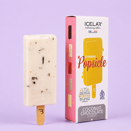 Coconut Chocolate Popsicle