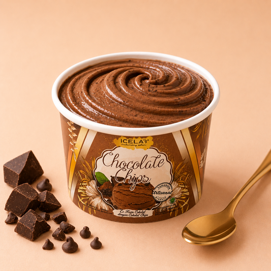Chocolate Chips Gelato (Dairy)